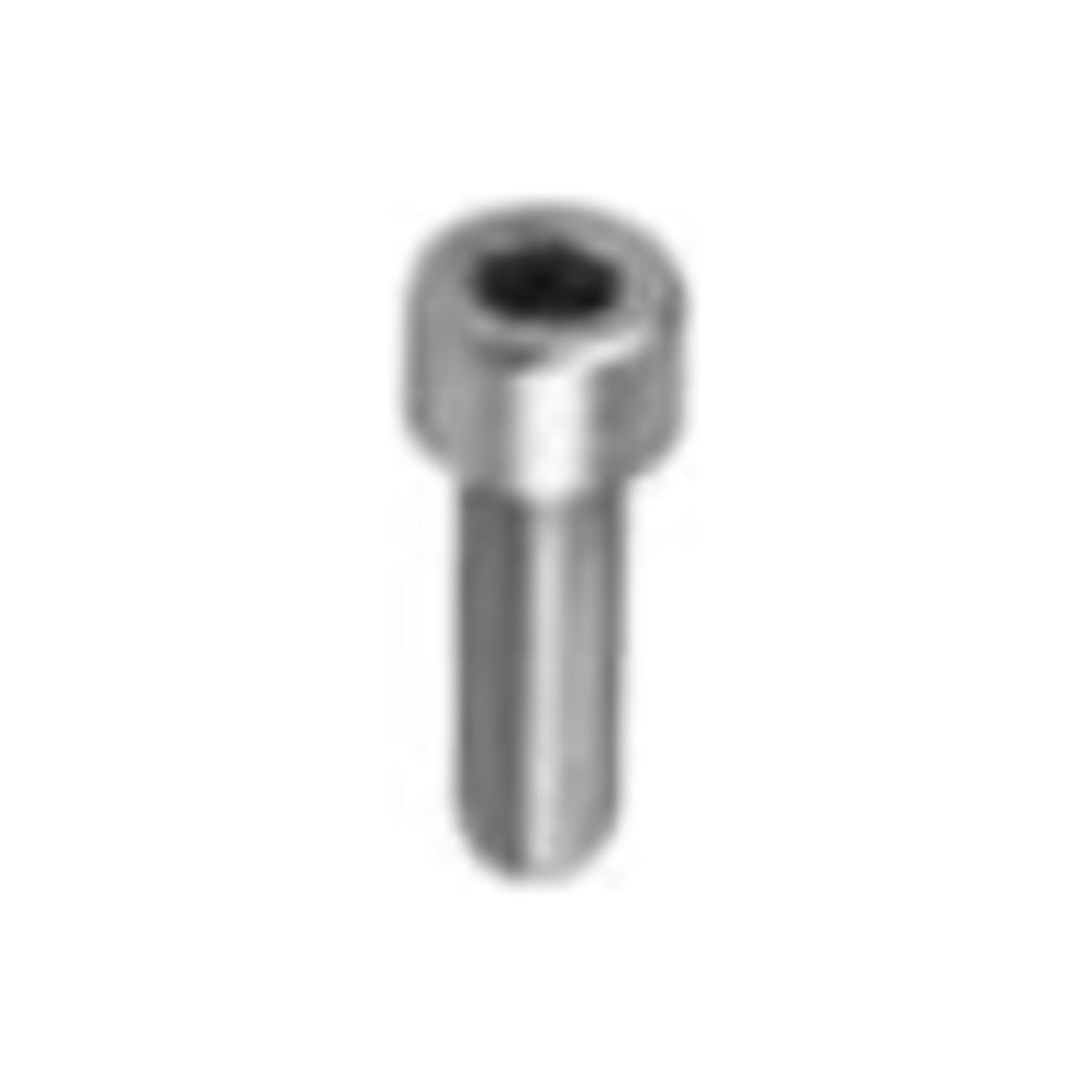 Hex Socket Head Screw M8 × 25 mm